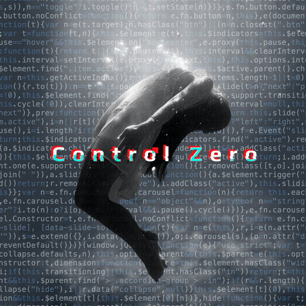 Control Zero