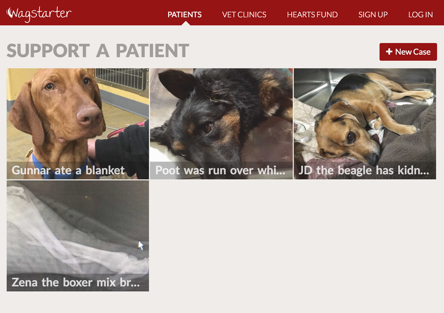 Wagstarter.org gallery image