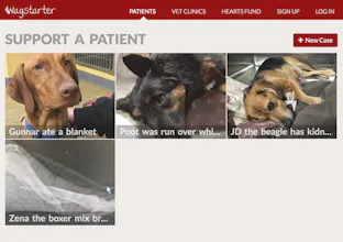 Wagstarter.org gallery image