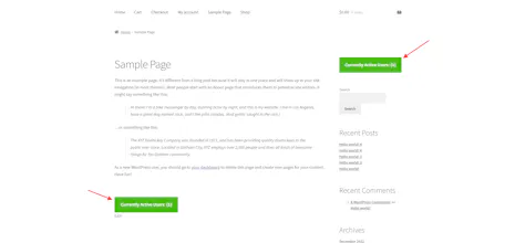 WP Online Active Users gallery image