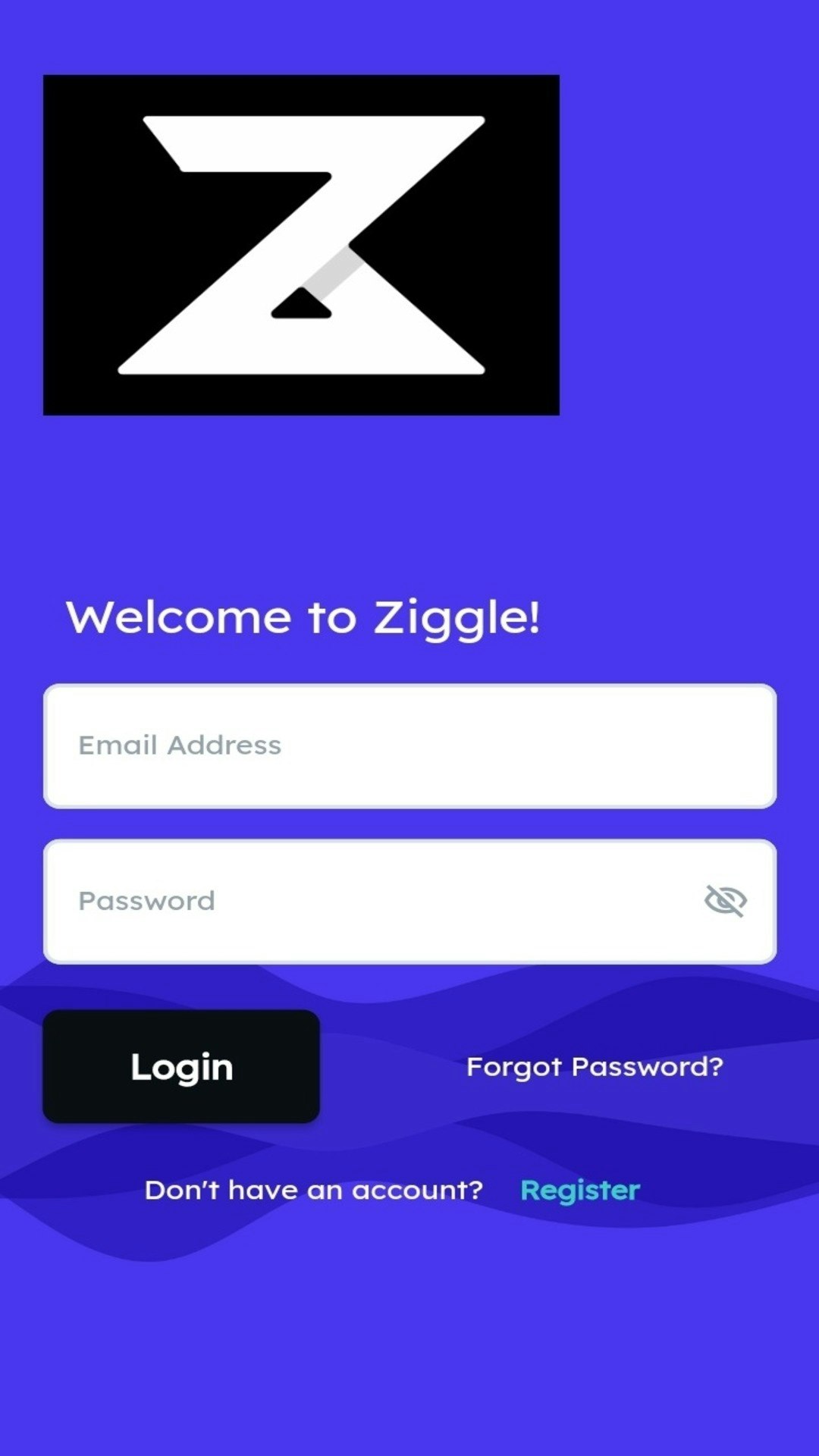 Ziggle media 1