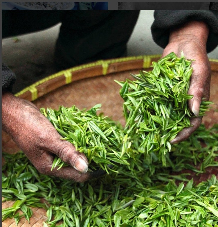 FreeYourTea gallery image