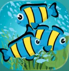 AquaGuide - Fish Tank Rules
