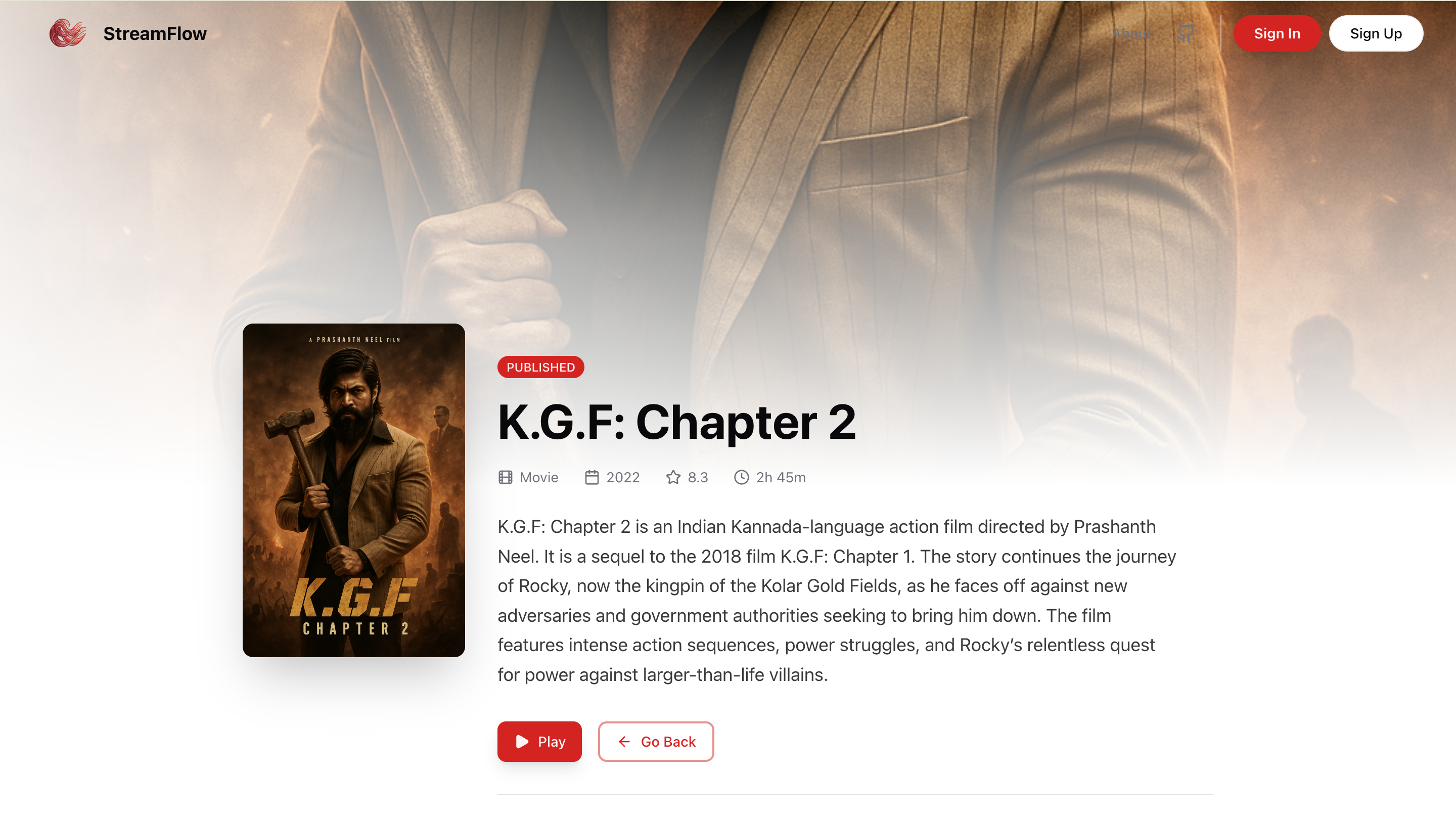 StreamFlow — Stream Smarter. Securely. gallery image