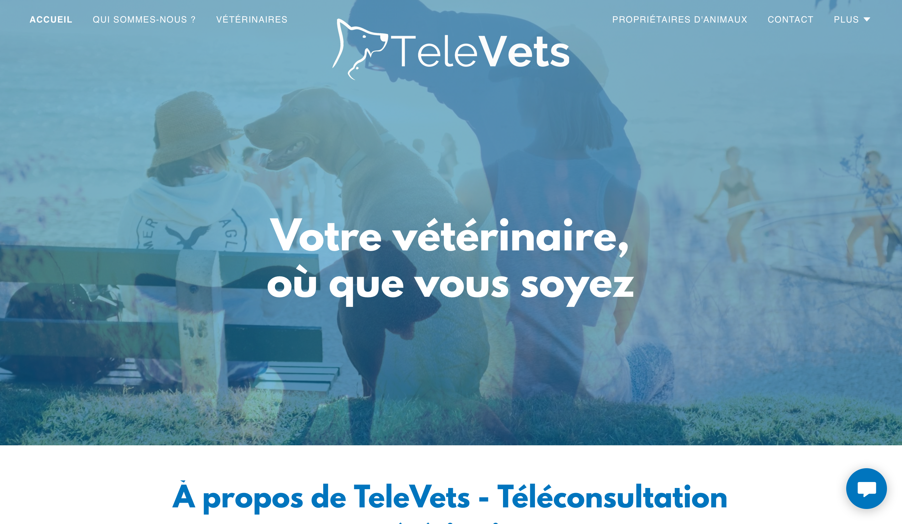 TeleVets gallery image