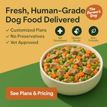 CPACreatives gallery image