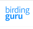 Birding guru