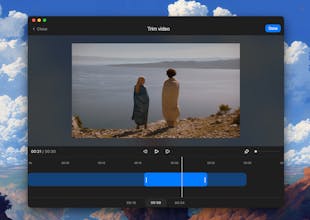 Pimosa gallery image