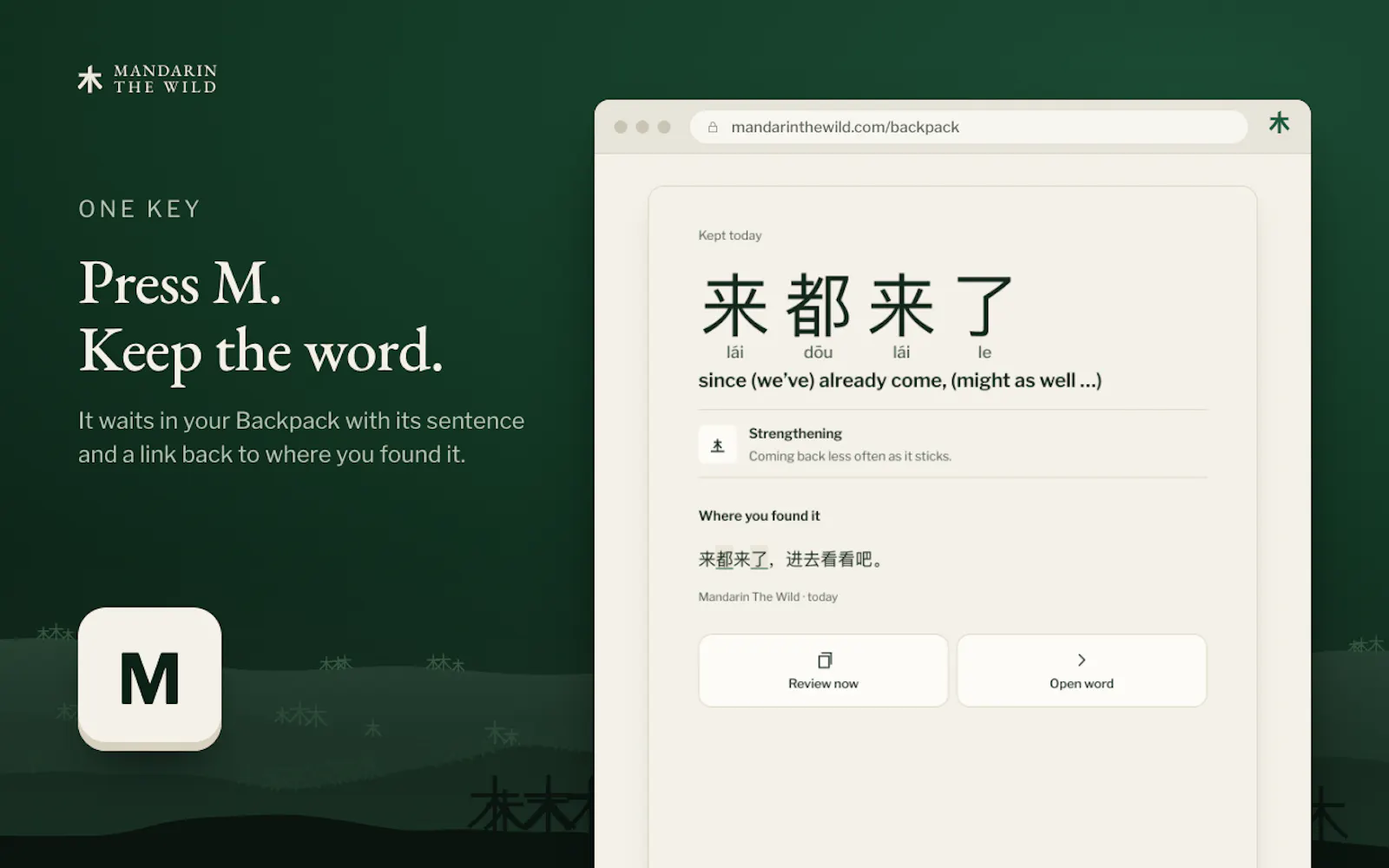 Mandarin The Wild screenshot 4