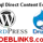 CODEBLINKS