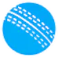 VSCode Cricket Extension