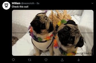 Twitter GIF Converter gallery image