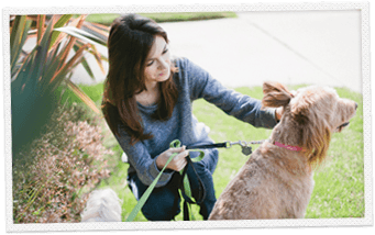 Dogvacay gallery image