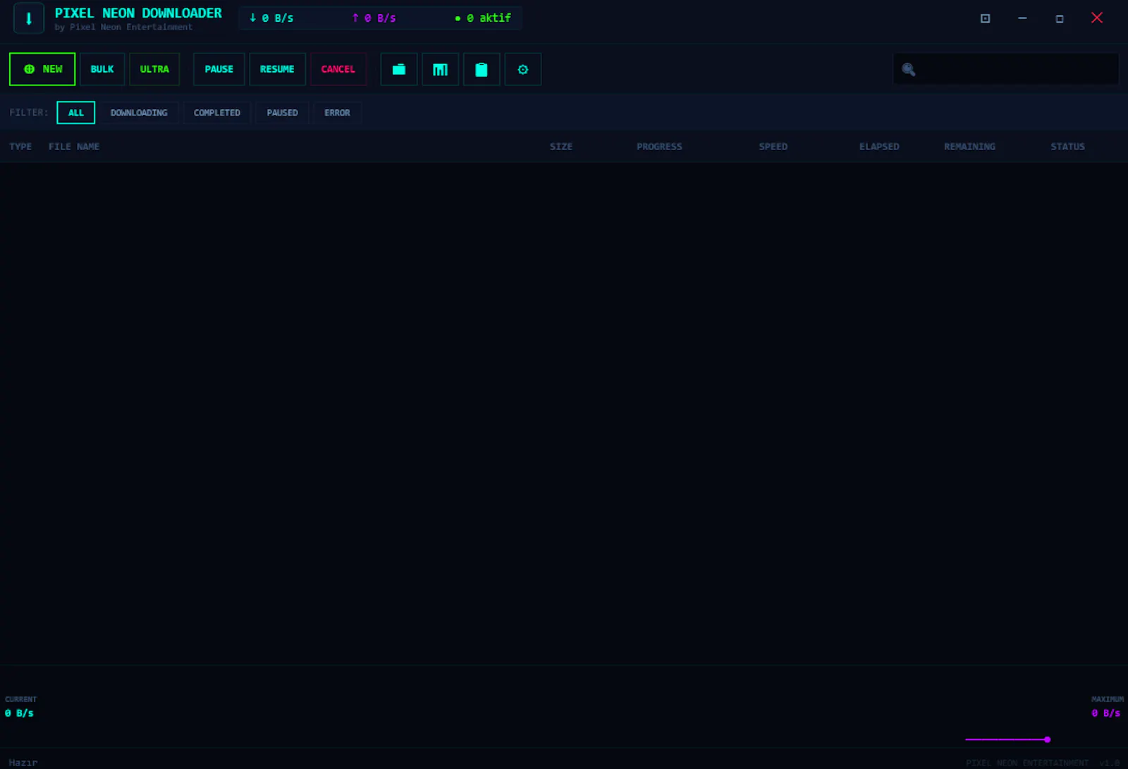 P Downloader screenshot 1