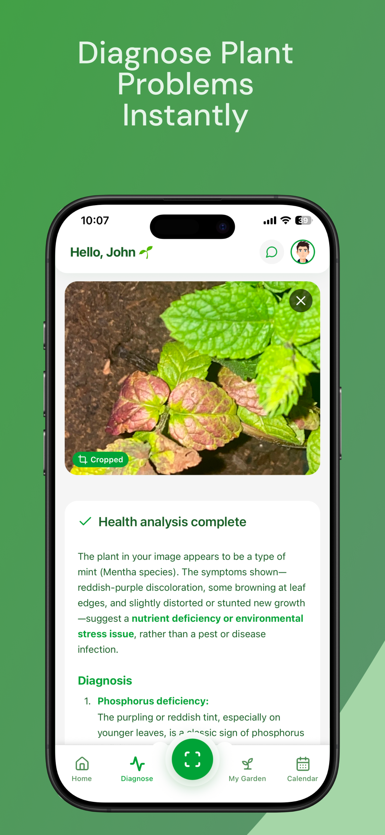 Virido gallery image