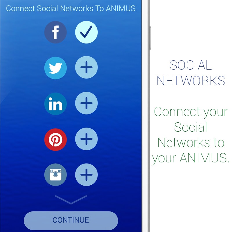 Animus gallery image