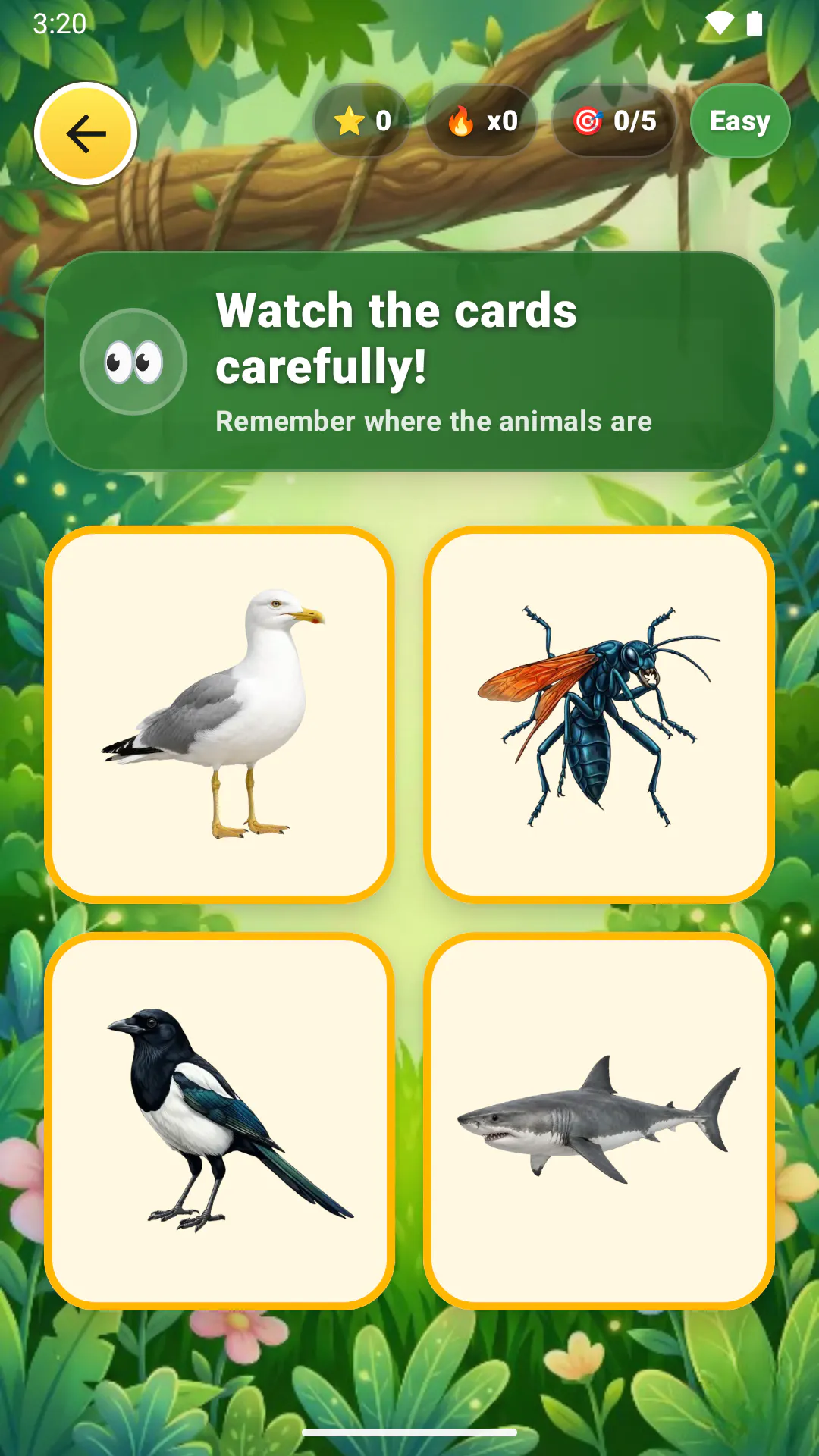 Funimals gallery image