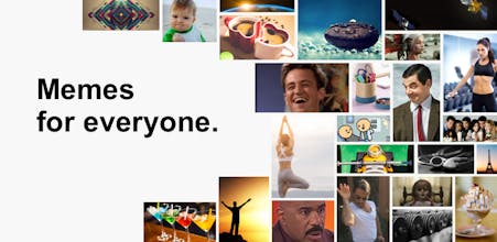 Vega - Social Sutta gallery image