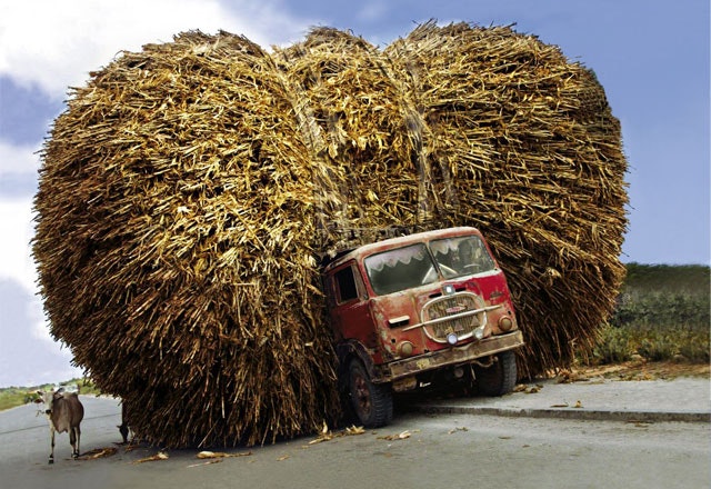 Social Software Observer gallery image