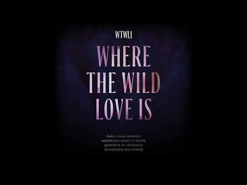Where The Wild Love Is (WTWLI) gallery image