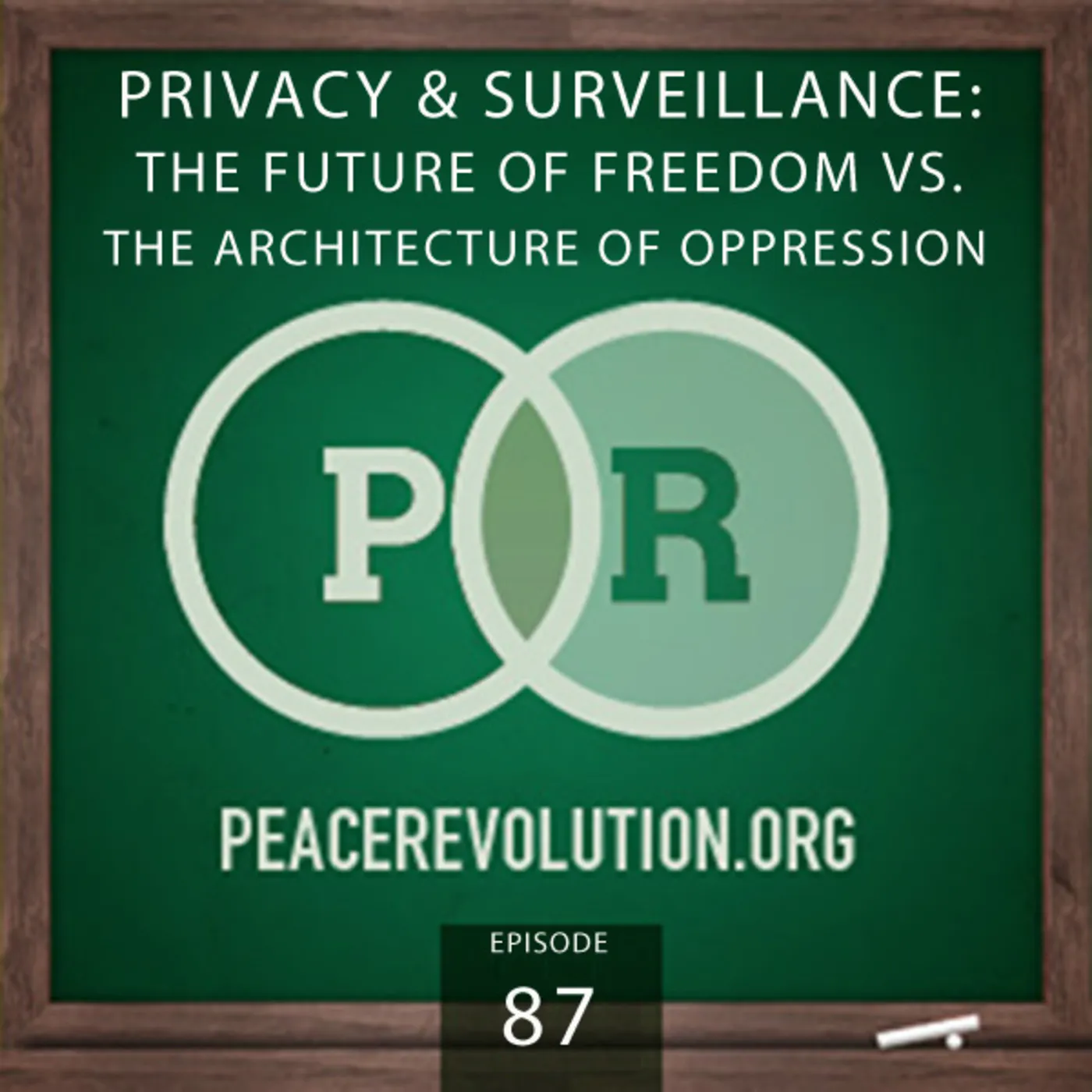 Peace Revolution - Privacy & Surveillance / The Future of Freedom vs. The Architecture of Oppression