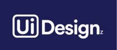 UI UX Design Services