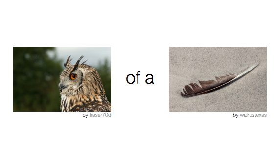 Photobomber gallery image