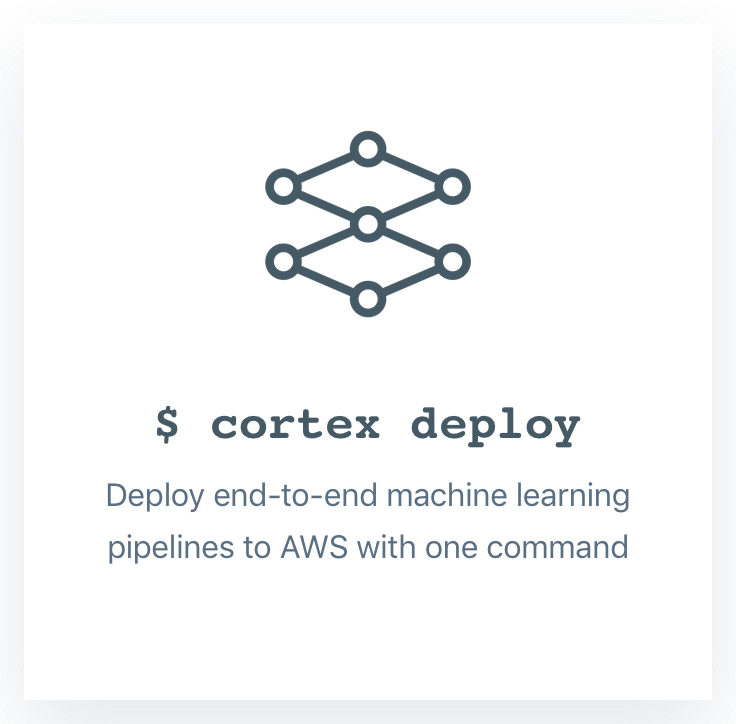 Cortex gallery image