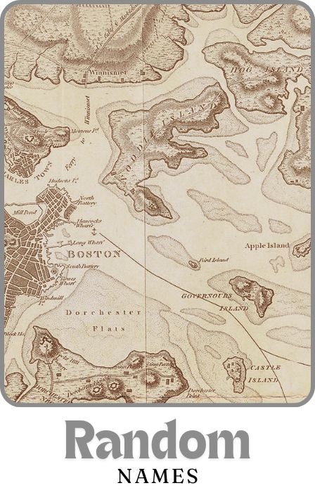 Name Generator gallery image