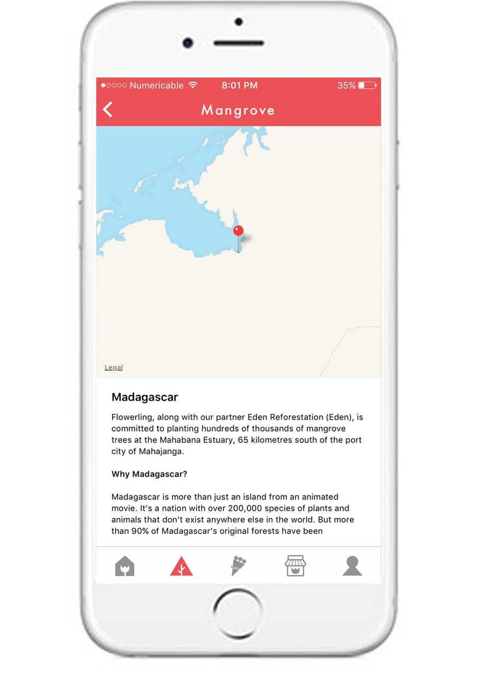 Flowerling gallery image