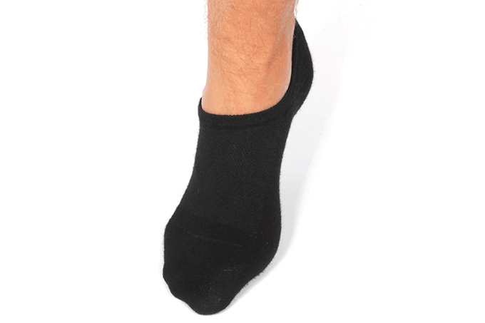 SilverSocks Image