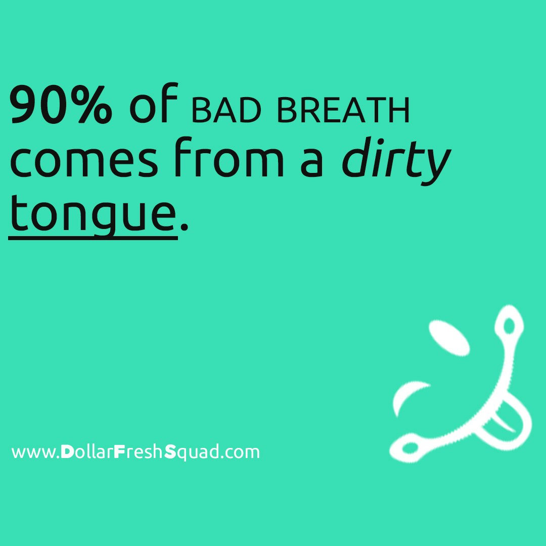 Dollar Fresh Squad gallery image