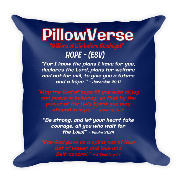 PillowVerse gallery image