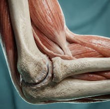 Natomy AI gallery image