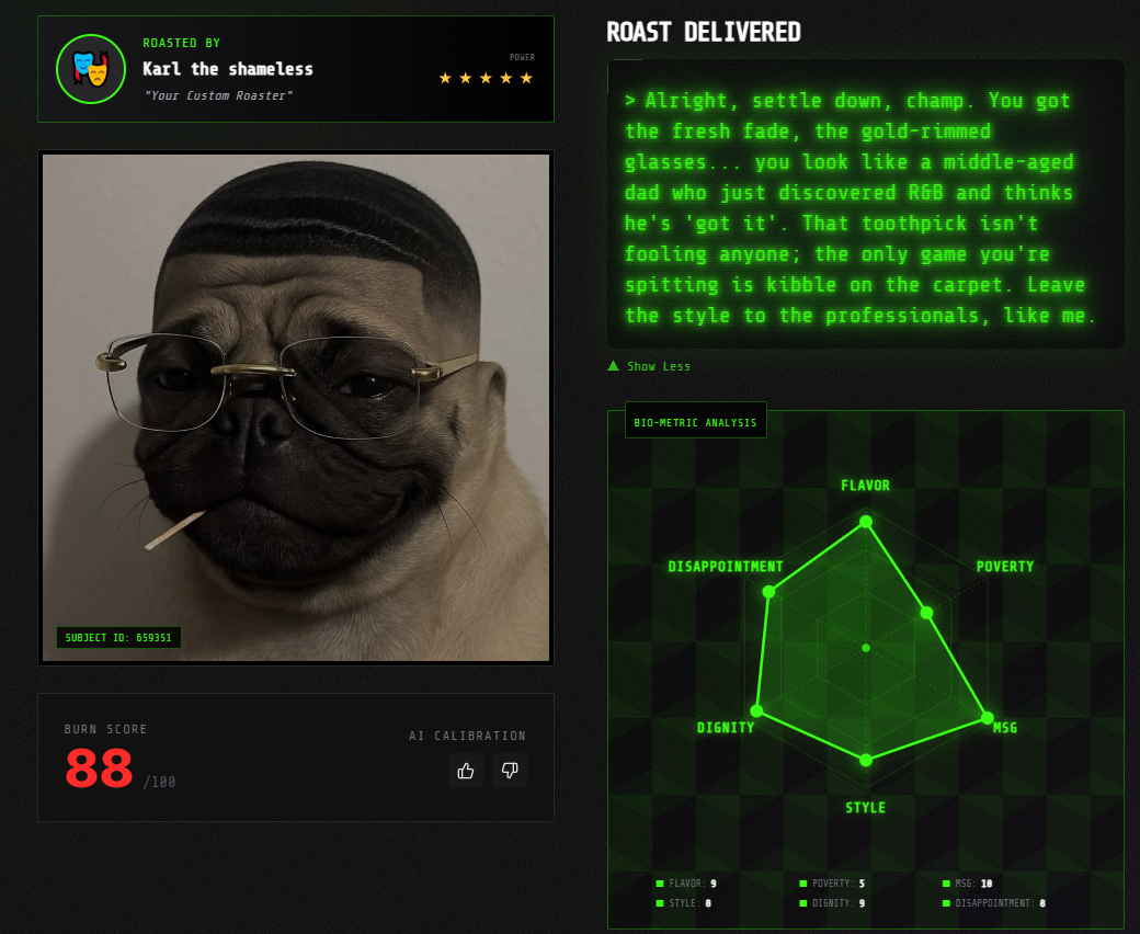 roastme-Gemini - Screenshot 3 showing product features and functionality