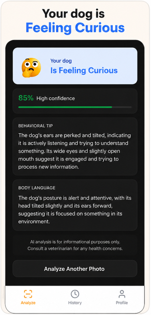 PetsenseAI gallery image