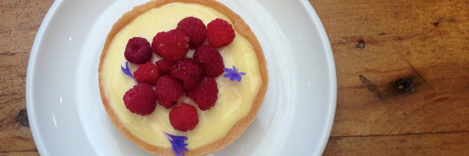 Anthony Harrison cover