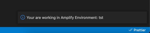 Display Amplify Environment gallery image