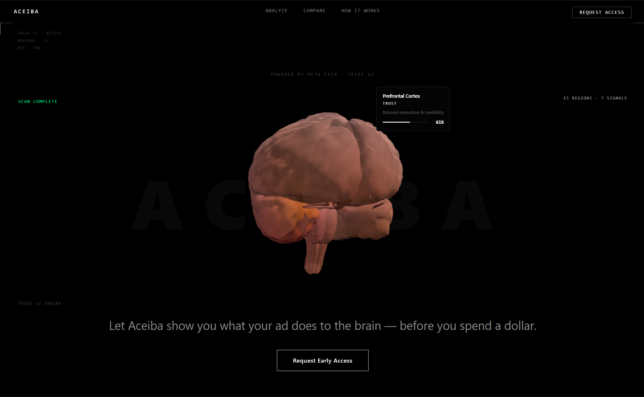 Aceiba gallery image