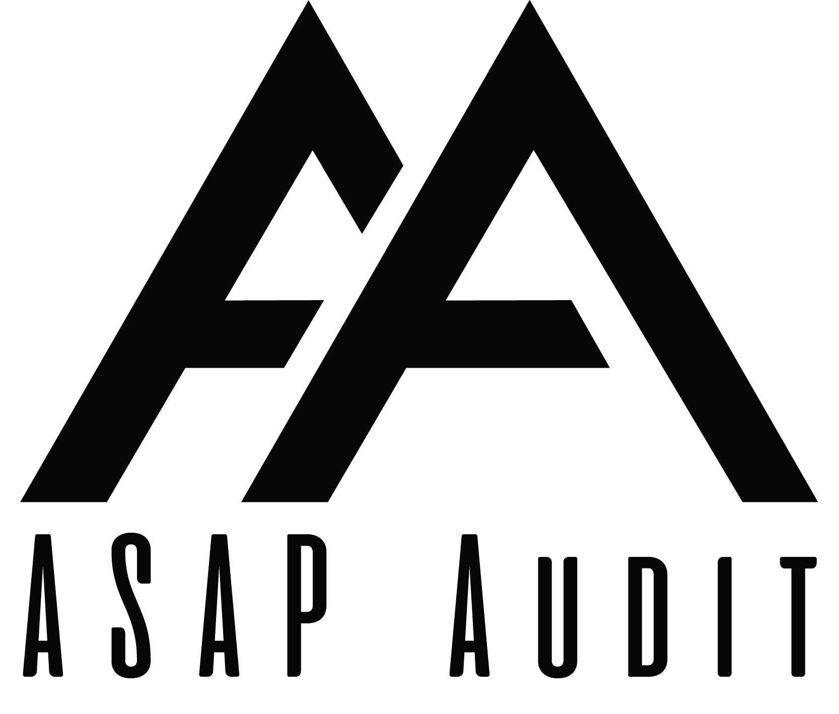 ASAP Audit