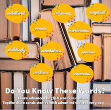 TopWords.co gallery image