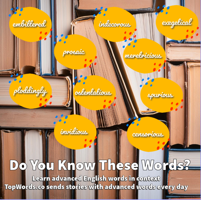 TopWords.co media 1