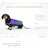 Disco Dog
