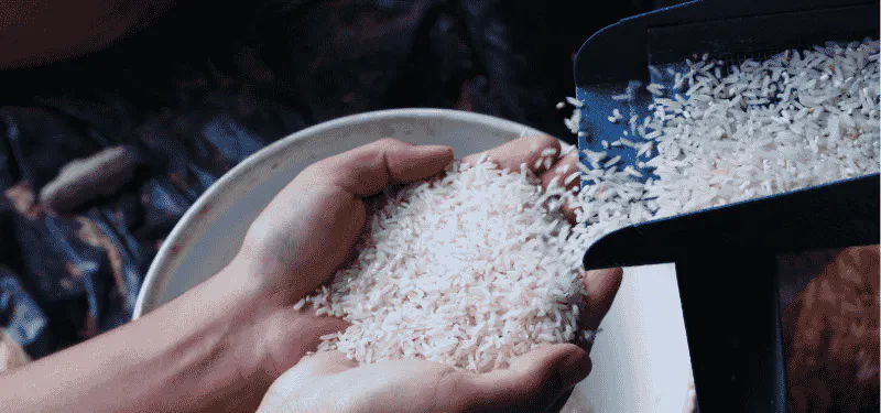 Nutrich Rice gallery image