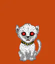 Cheetah Cub Coalition