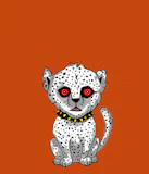 Cheetah Cub Coalition