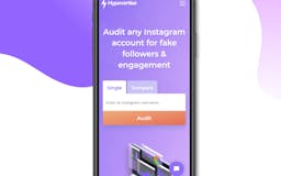 Hypevertise Instagram Auditor media 1
