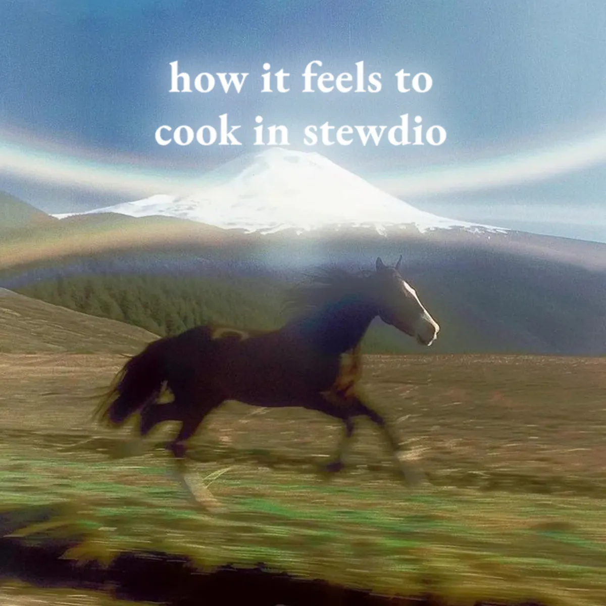 Stewdio