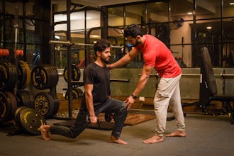 Alpha Coach gallery image