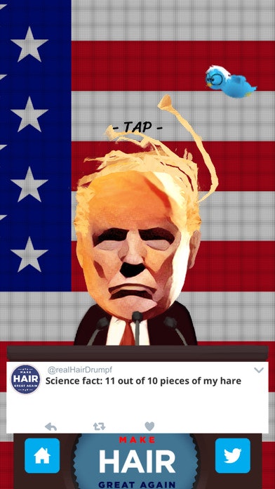 realHairDrumpf gallery image